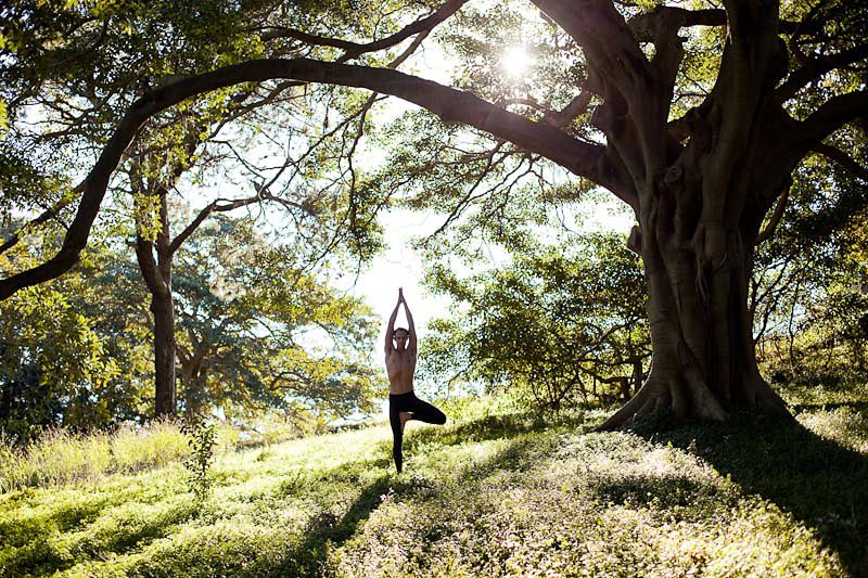 Sydney Yoga Photography; Vriksasana